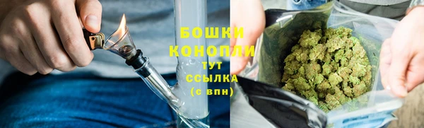 ГАЛЛЮЦИНОГЕННЫЕ ГРИБЫ Магадан