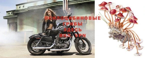 ГАЛЛЮЦИНОГЕННЫЕ ГРИБЫ Магадан