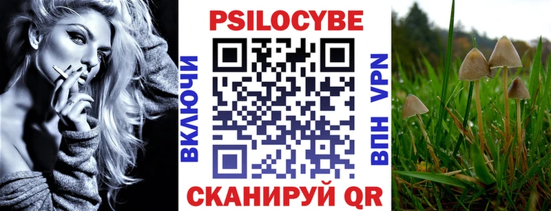 Галлюциногенные грибы Psilocybe  Туран 